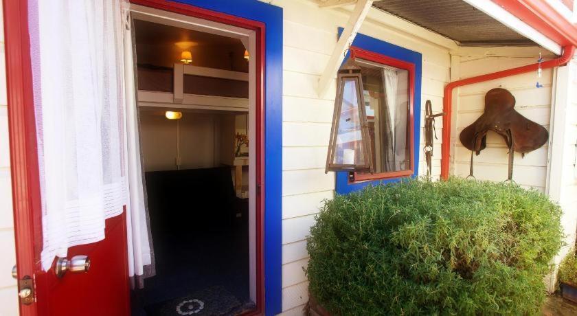 Stables Lodge Backpackers Napier Eksteriør bilde
